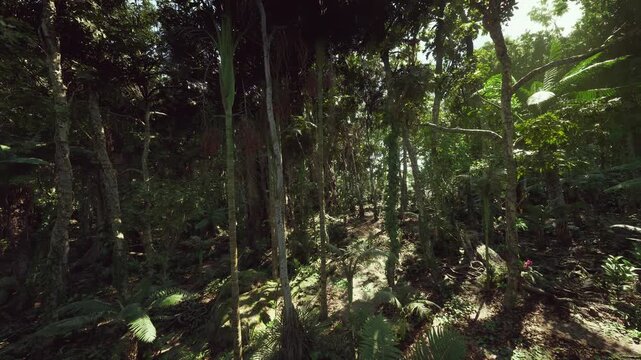 Shadowed jungle grove with vertical trunks, hanging vines and patchy sunlight creating cinematic contrast, rich textures and atmospheric mood for film