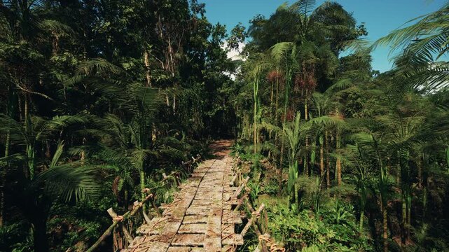 narrow secluded corridor of trees forming sheltered green tunnel, filtered light and compact foliage, intimate nature scene ideal for quiet reflection and slow