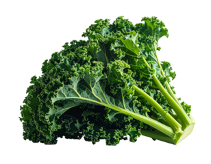 Vibrant, curly green leafy vegetable with thick stems