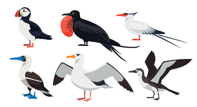 Various seabirds collection with transparent background