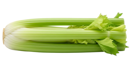 Fresh green celery stalks with leafy tops on a black background image