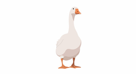 White goose standing with transparent background © Pandaman1102