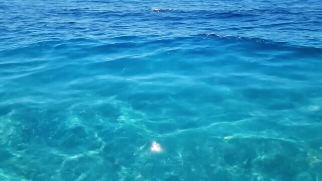 Shallow Water Shimmer A close-up view of gentle, clear ocean water moving over a sandy bottom in shallow areas, with intricate patterns of sunlight reflections constantly shifting and dancing on the