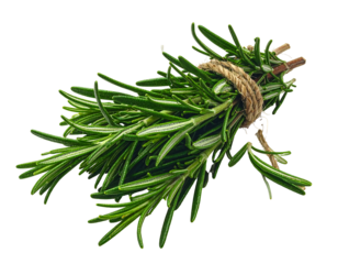 Fresh green herb sprigs tied with rustic twine against a dark background