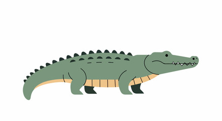 Obraz premium Green crocodile isolated with transparent background