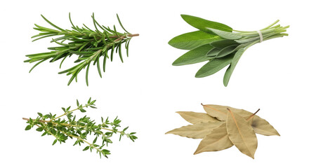 Fresh herbs on transparent background rosemary sage thyme bay leaves culinary preparation