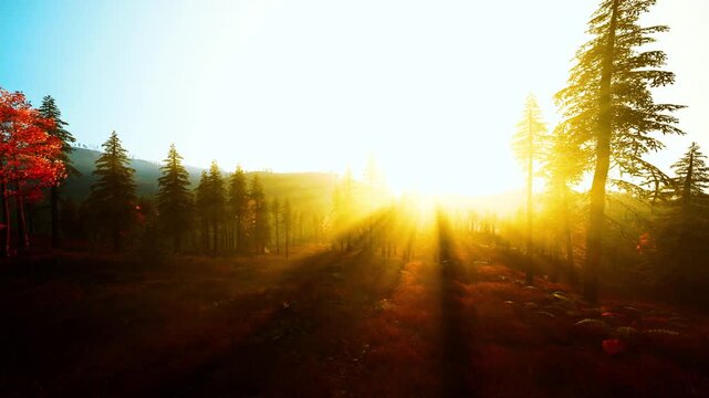 Golden sunrise over pine forest long shadows stretching across redtinged meadow sunbeams piercing morning mist cinematic warm glow peaceful solitude inviting