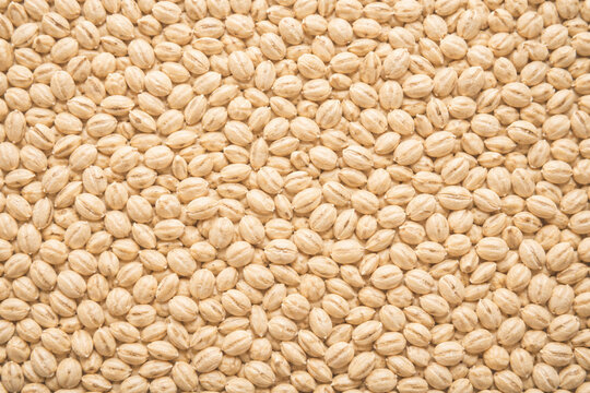 Tightly packed pearl barley grain texture background