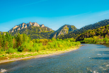 Peak Tri Koruny or Trzy Korony during day with green meadow and trees in spring. Pieniny National park in Slovakia and Poland © Zedspider