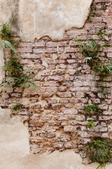 brick wall with cement wall texture for background