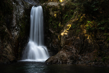 Fototapeta premium 鳴沢の滝 愛知県新城市 