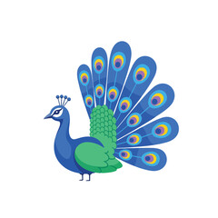 Stylized Blue Peacock Vector Illustration