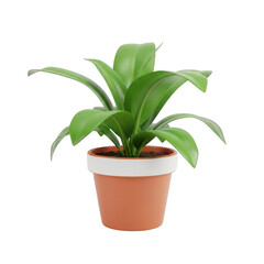 3d rendered potted plant with green leaves
