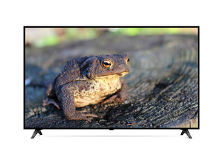 Modern Smart TV with toad on screen