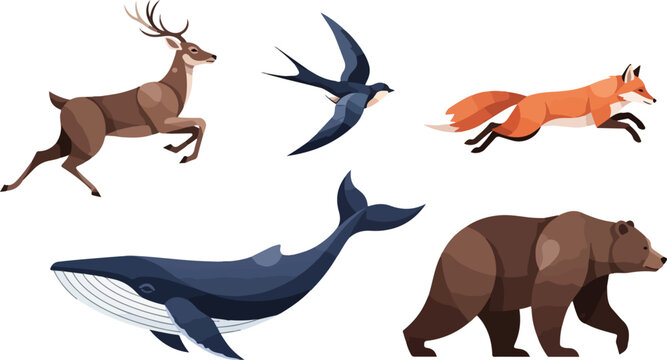 Wildlife animals collection with transparent background