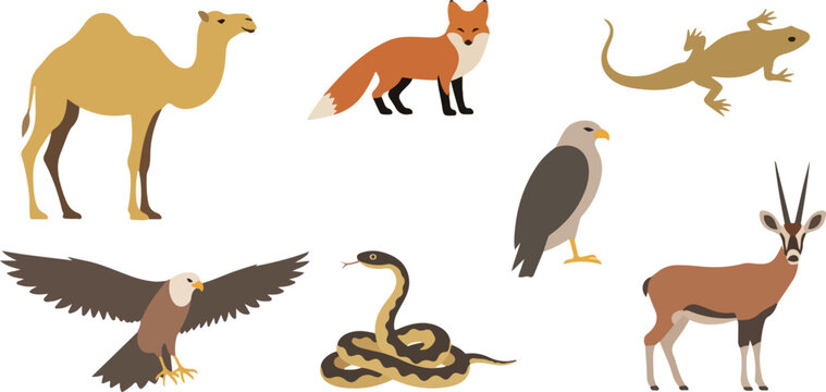 Desert animals collection with transparent background