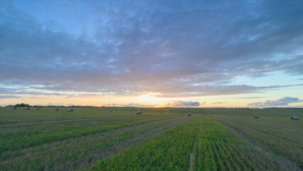 Obraz premium A Beautiful Sunrise Over Lush and Expansive Green Fields in Natures Splendor and Harmony