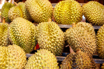 A bunch of durians with a lot of spikes on them