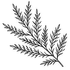 Obraz premium Minimalist Botanical Line Art Branch Illustration - Black & White Plant Sprig