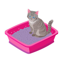 An adorable young British shorthair kitten with soft gray fur and bright eyes looks toward the camera in a cute domestic pet portrait