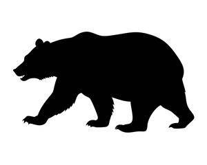 A black vector illustration of a wild grizzly bear silhouette representing a powerful forest predator and mammal in a nature wildlife symbol