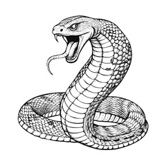 Vector illustration of a funny cartoon cobra snake character featuring a cute wildlife reptile design for nature art or tattoo symbol