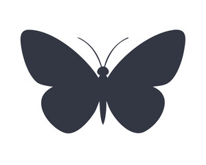 Ornate butterfly vector illustration featuring beautiful insect wings and nature-inspired patterns isolated on a white background for summer garden design and spring decoration element