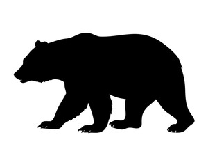 A wild grizzly bear silhouette vector illustration featuring a black mammal predator isolated on a white background for nature and wildlife icons
