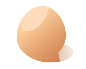 A single fresh brown chicken egg and a cracked organic eggshell are isolated on a white background as a healthy raw breakfast ingredient or Easter object in this macro closeup