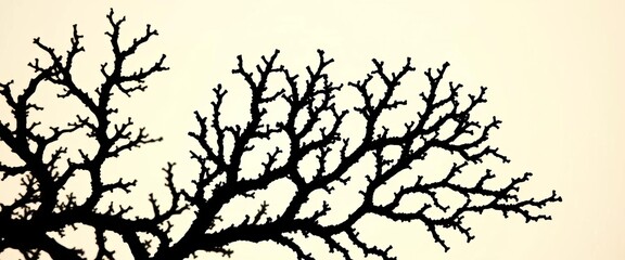 Fototapeta premium Intricate black coral branches, dark silhouette against light background, monochrome, sea life