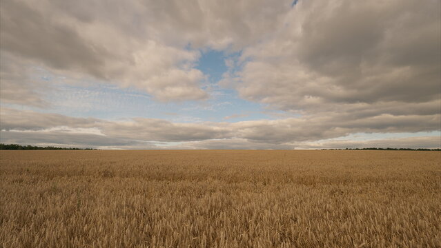 A Gorgeous Expansive Field Under Dramatic, Overhead Clouds Capturing Natures Beauty