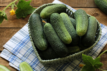 Fresh green cucumbers in rustic harvest basket
