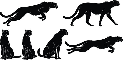 Black panther silhouette poses set illustration showing running jumping and sitting big cat figures isolated on white background © Heyyy