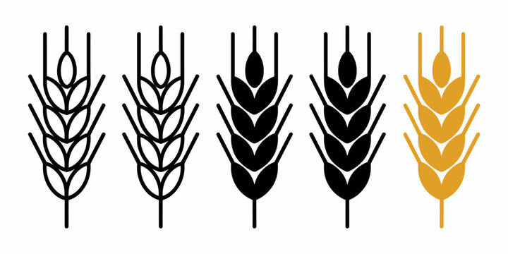 Stylized wheat ears grain harvest black and gold vector illustration agriculture farming symbol isolated on white background organic food concept healthy diet ingredient for bakery products packaging