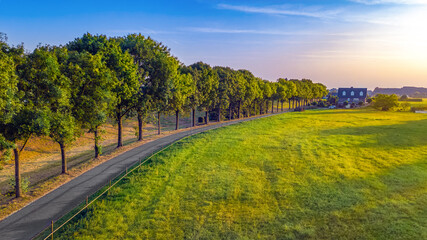 Bicycle lane road between trees aerial drone view from above, cycling lane for bikes, idyllic dutch...