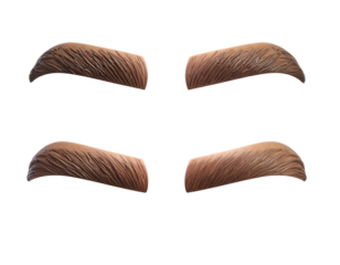 Four Eyebrows with Thick Hair Texture.