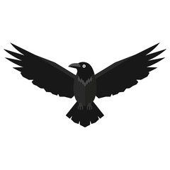 Obraz premium A black bird with wings spread in flight.