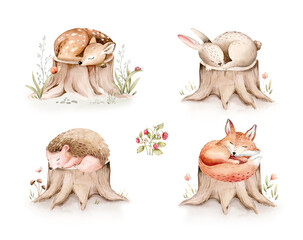 Watercolor cute sleeping baby fawn and bunny animal. Woodland nursery deer and rabbit isolated illustration for children. watercolour forest fox and hedgehog drawing, floral image. 