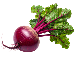 A single vibrant red beet with deep green leafy tops, roots visible