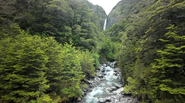 River gorge leading to distant waterfall in dense green forest