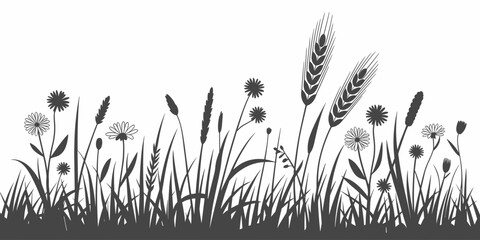 Detailed botanical silhouette illustration of grass wheat and wildflowers growing in a field nature background ecology design element for organic products branding natural cosmetics packaging and spri
