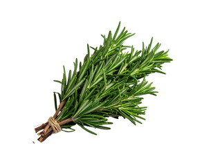 A bundle of fresh, green rosemary sprigs tied together on a solid black background