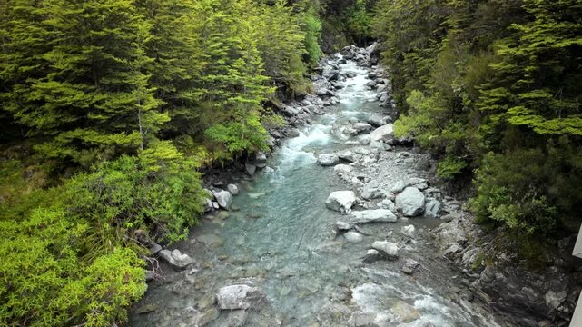 Clear mountain river flowing through forest with rocks