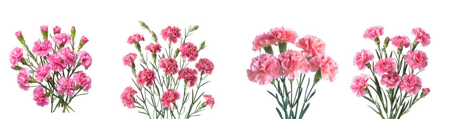 four vibrant pink carnation bouquets displayed in a row perfect for floral design on transparent background