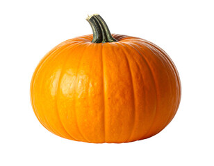 Obraz premium A single, vibrant orange gourd sits isolated on a black background