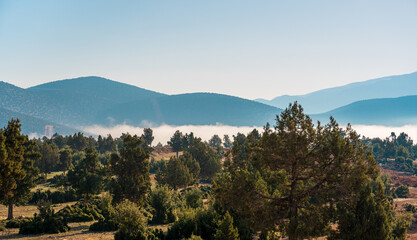 Layered forest and mountain landscape with misty atmospheric perspective