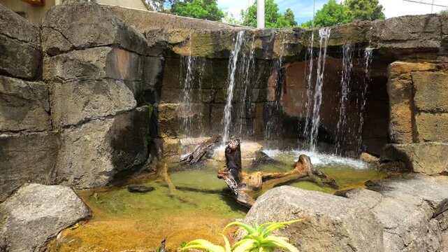Seals Resting Under Small Waterfall In Zoo Rocky Pool
