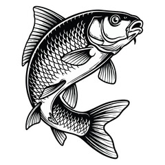 Fototapeta premium Elegant vintage illustration of a jumping carp freshwater fish art design