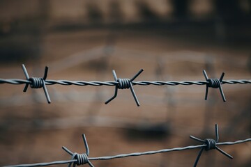 A photo of a close-up view of a barbed wire fence