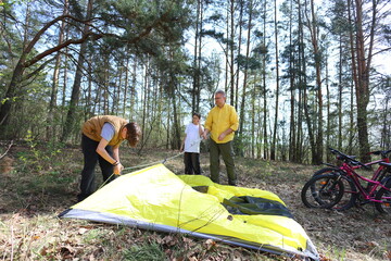 A father and two kids begin assembling a bright yellow tent in a sunlit pine forest. Bikes nearby hint at an active day of camping, teamwork, and outdoor fun.